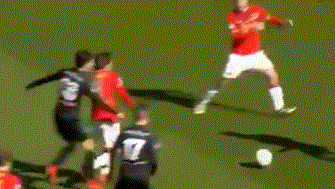 和粉丝经济 和粉丝经济